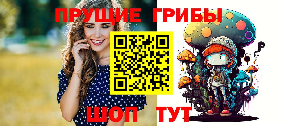 Нижнеудинск  Псилоцибиновые грибы мицелий  Вход с VPN 