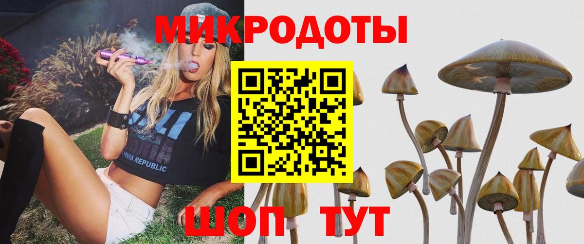 Галлюциногенные грибы мухоморы Нижнеудинск